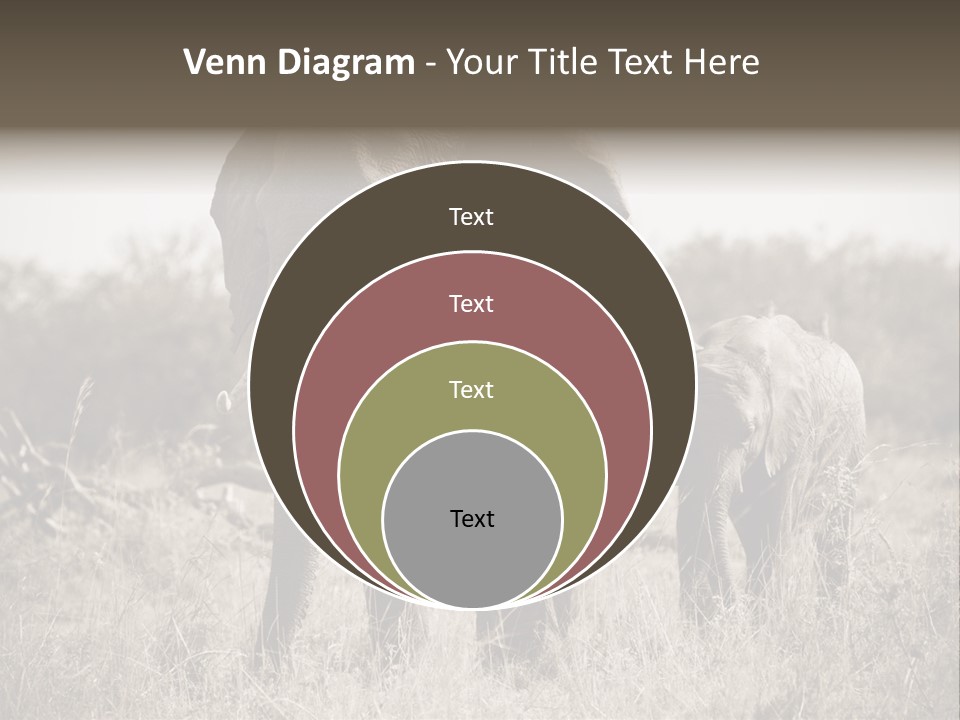 Mammifero Seppia Avorio PowerPoint Template