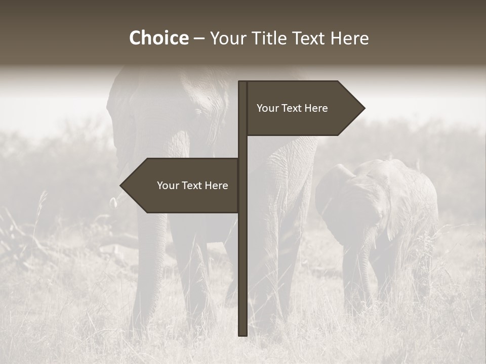 Mammifero Seppia Avorio PowerPoint Template