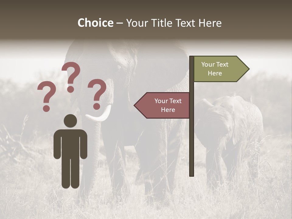 Mammifero Seppia Avorio PowerPoint Template