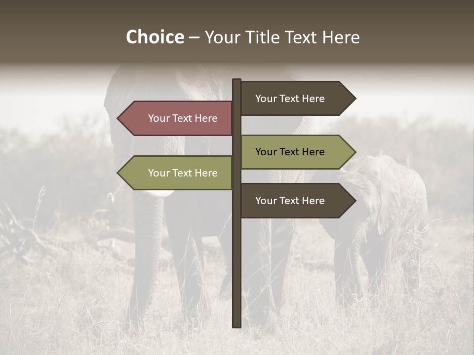 Mammifero Seppia Avorio PowerPoint Template