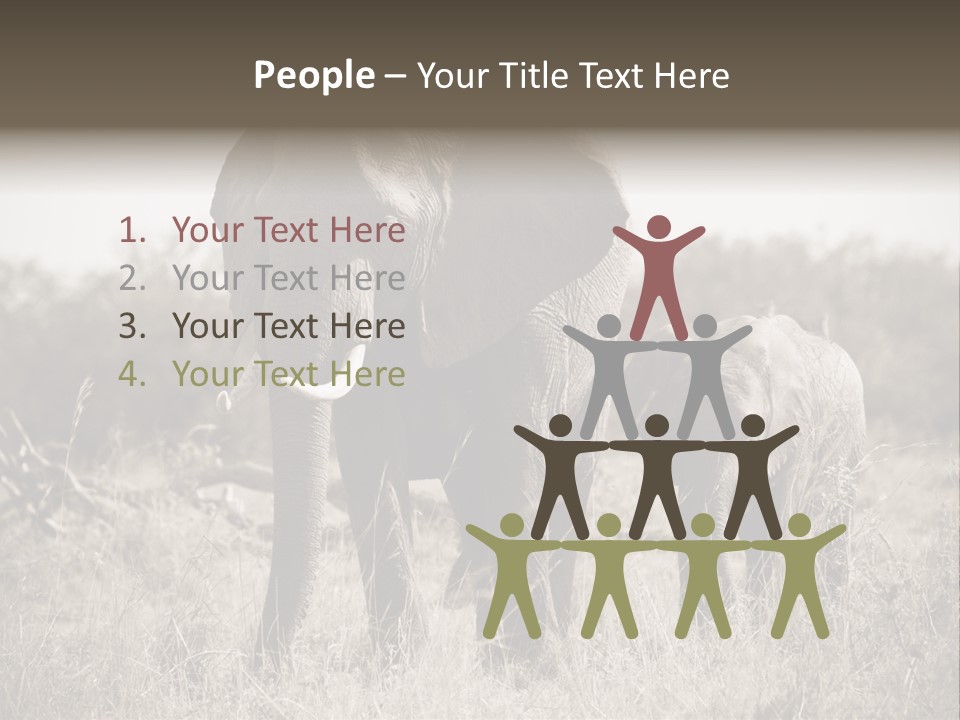 Mammifero Seppia Avorio PowerPoint Template