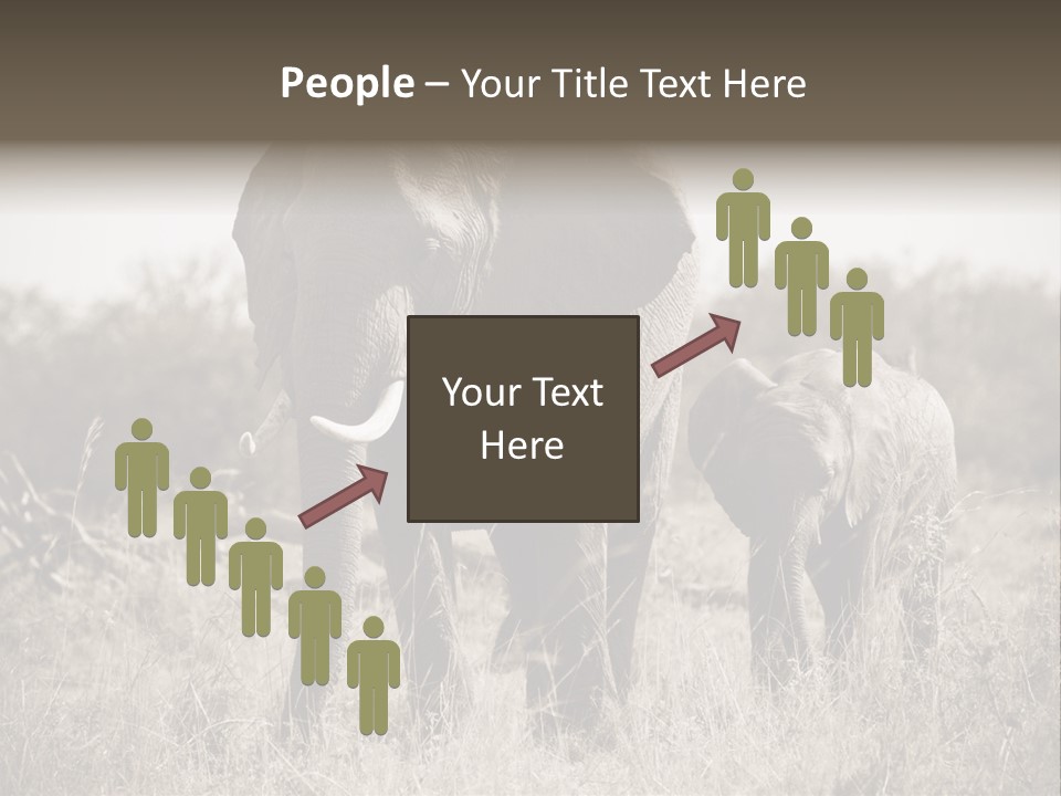 Mammifero Seppia Avorio PowerPoint Template