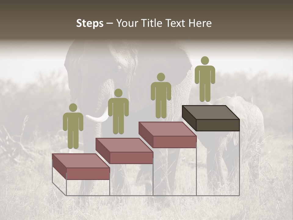 Mammifero Seppia Avorio PowerPoint Template