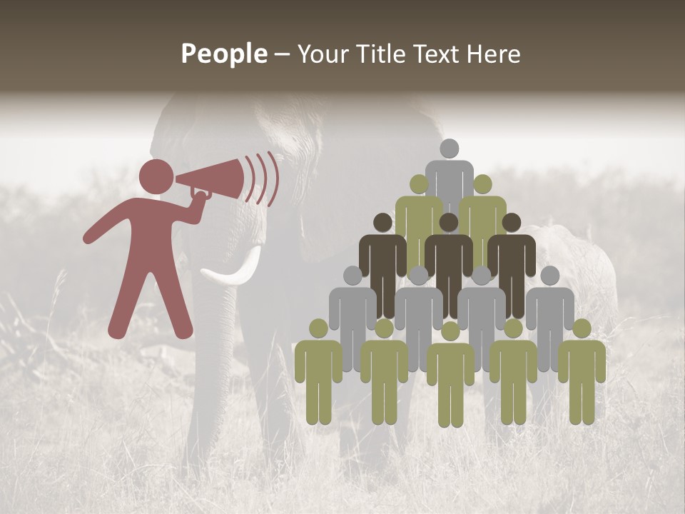 Mammifero Seppia Avorio PowerPoint Template