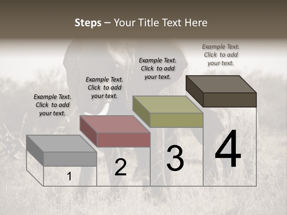 Mammifero Seppia Avorio PowerPoint Template