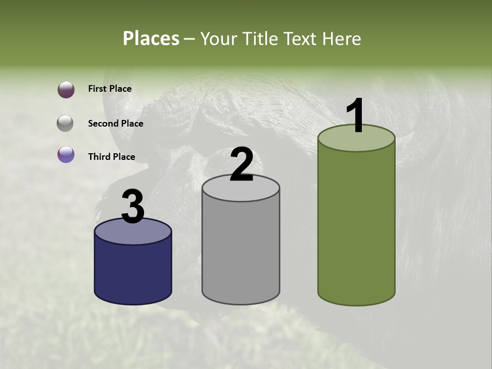 Kenya Selvaggi PowerPoint Template