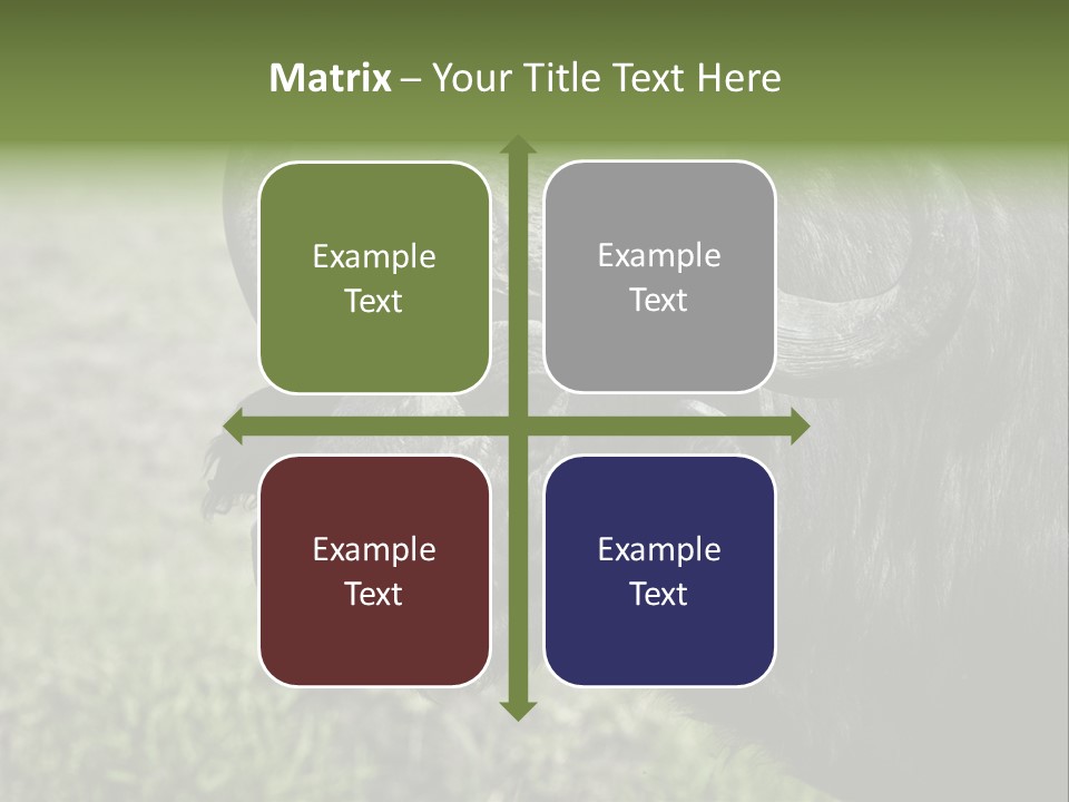 Kenya Selvaggi PowerPoint Template