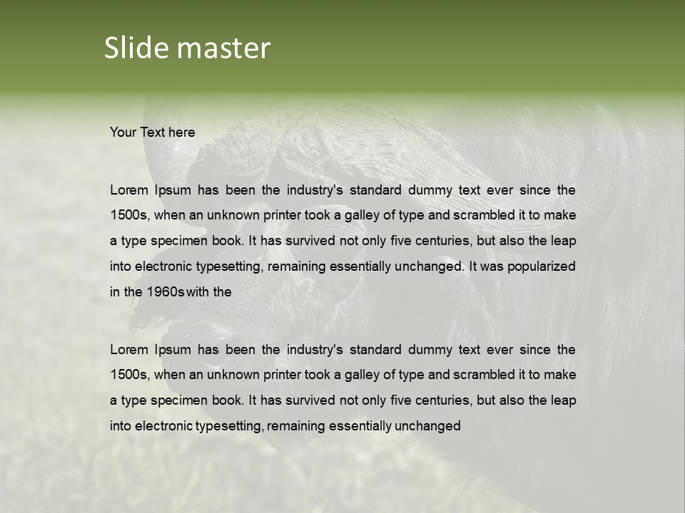 Kenya Selvaggi PowerPoint Template