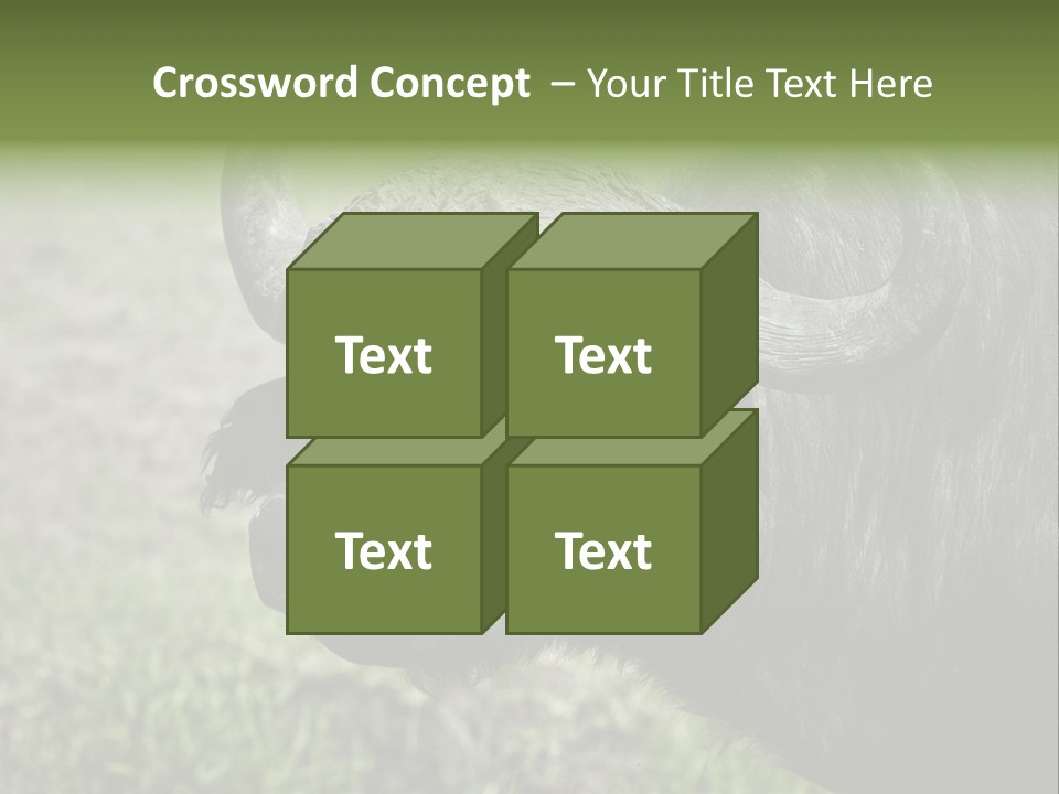 Kenya Selvaggi PowerPoint Template