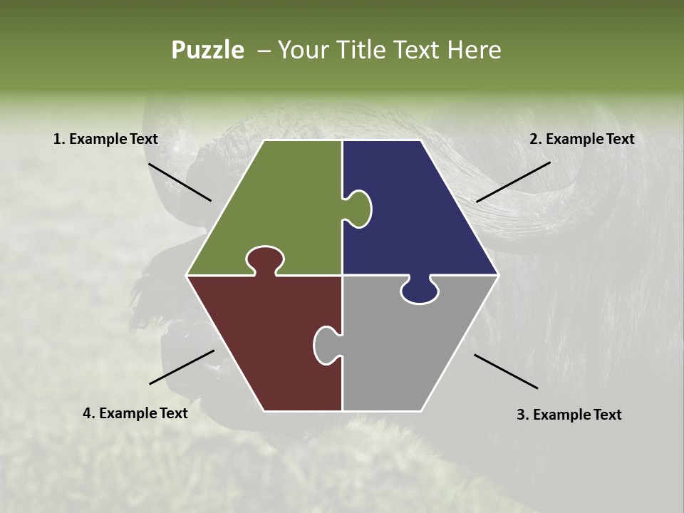 Kenya Selvaggi PowerPoint Template