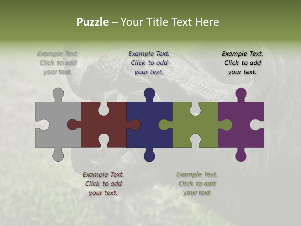 Kenya Selvaggi PowerPoint Template