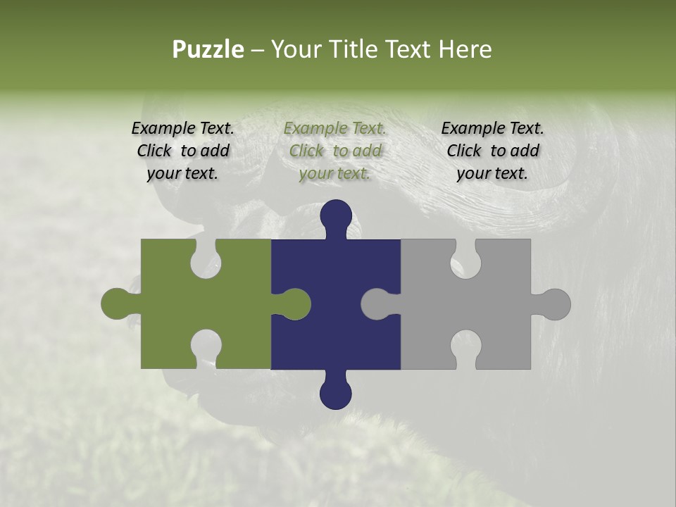 Kenya Selvaggi PowerPoint Template