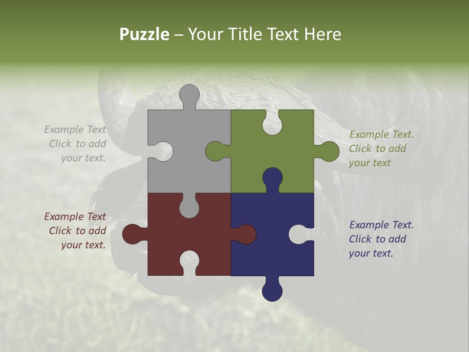 Kenya Selvaggi PowerPoint Template