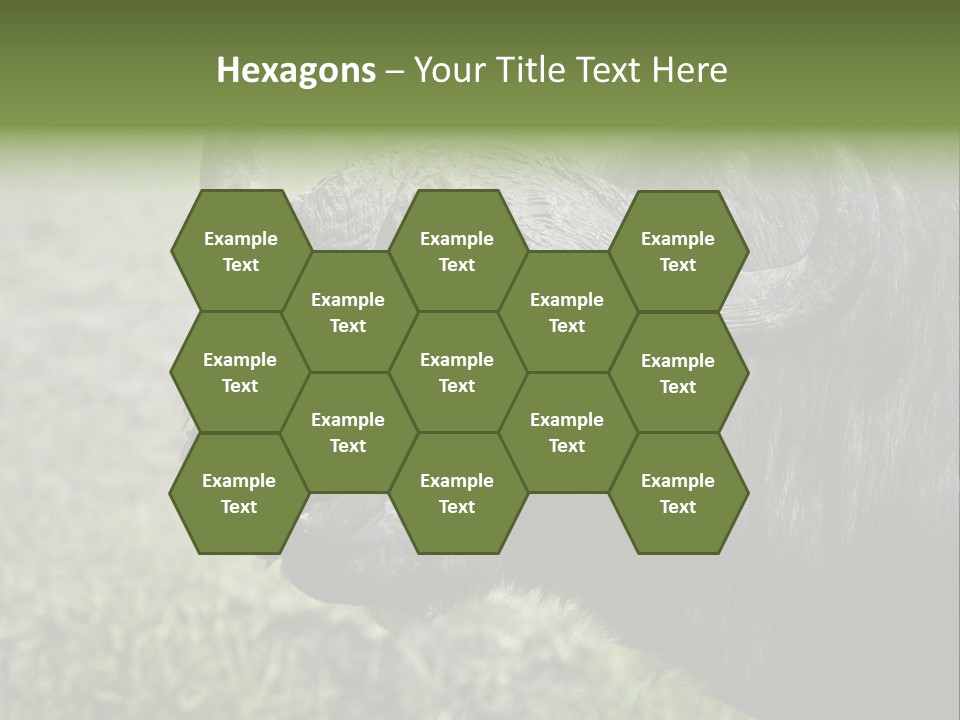 Kenya Selvaggi PowerPoint Template