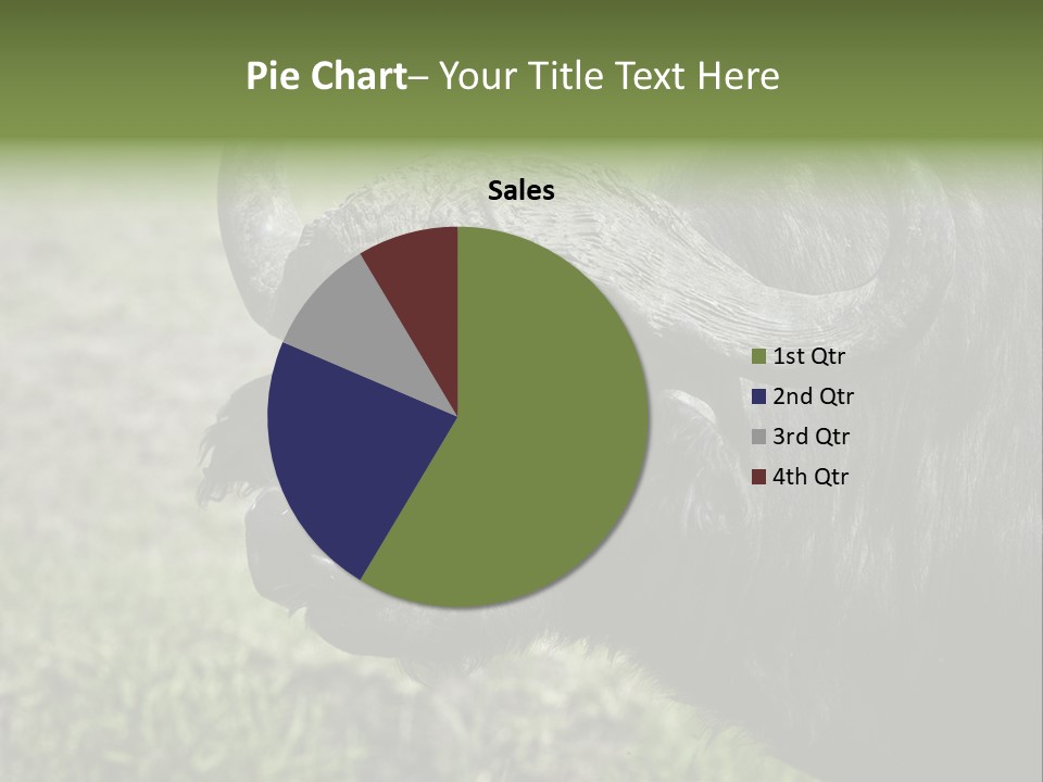 Kenya Selvaggi PowerPoint Template