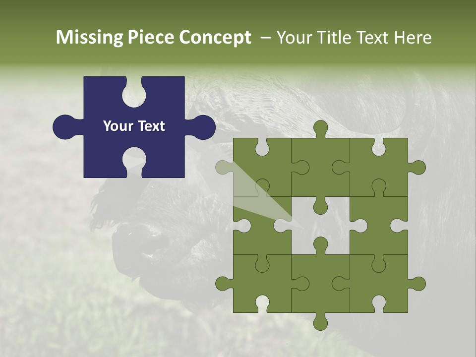 Kenya Selvaggi PowerPoint Template