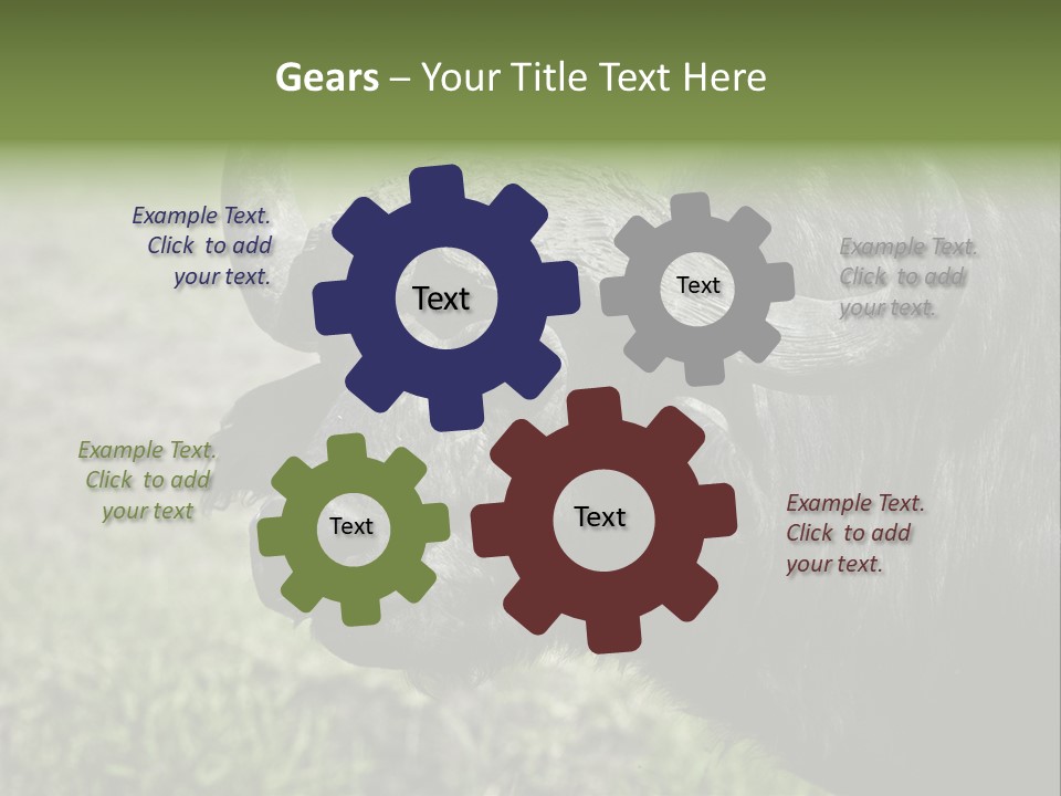 Kenya Selvaggi PowerPoint Template