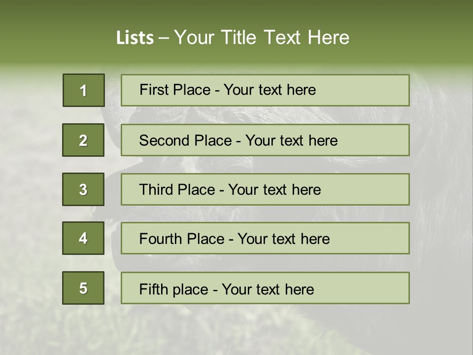 Kenya Selvaggi PowerPoint Template