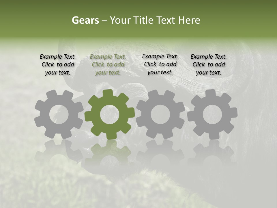 Kenya Selvaggi PowerPoint Template