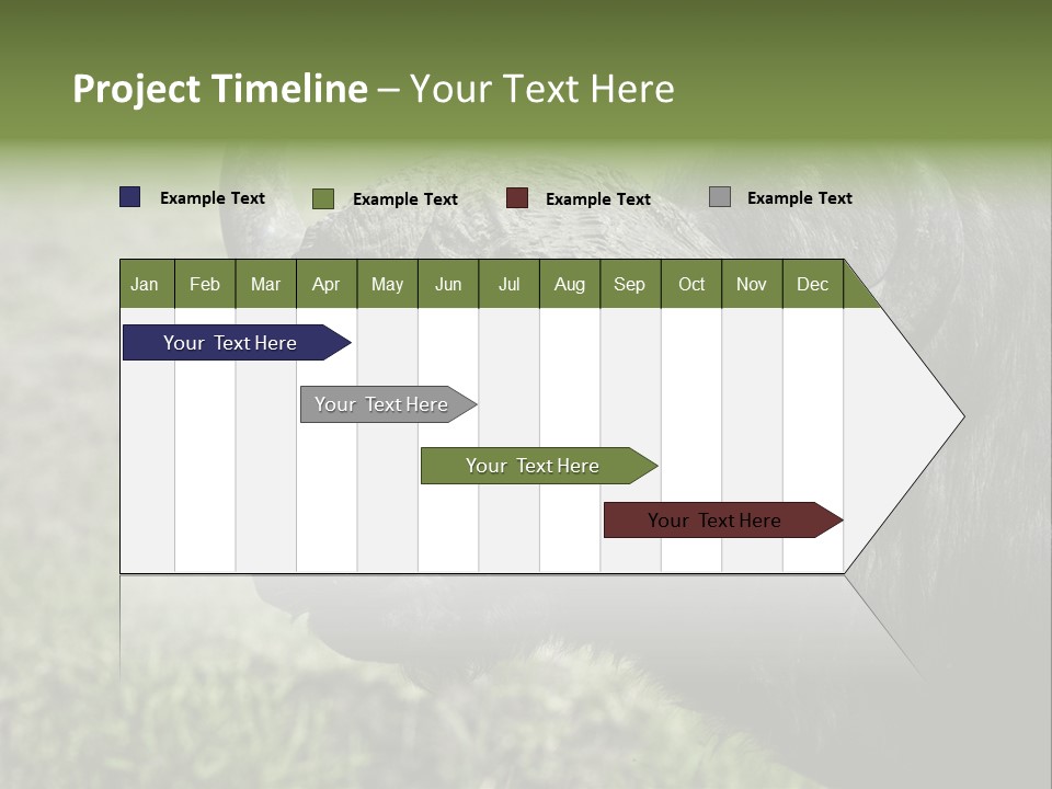 Kenya Selvaggi PowerPoint Template