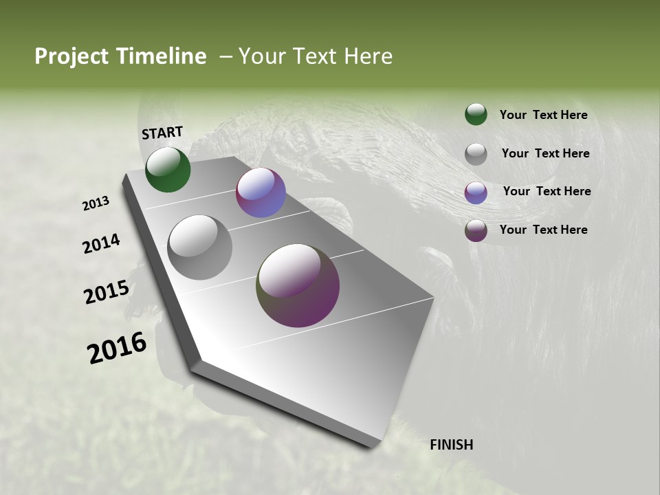 Kenya Selvaggi PowerPoint Template