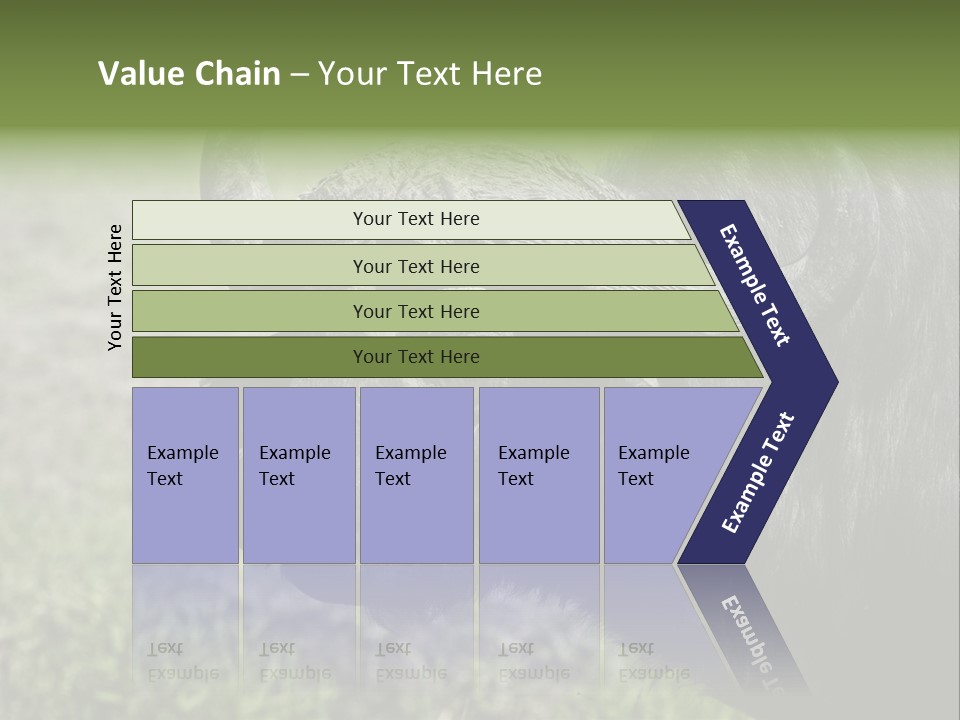 Kenya Selvaggi PowerPoint Template