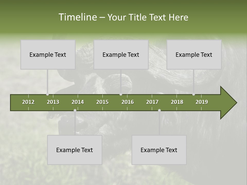 Kenya Selvaggi PowerPoint Template