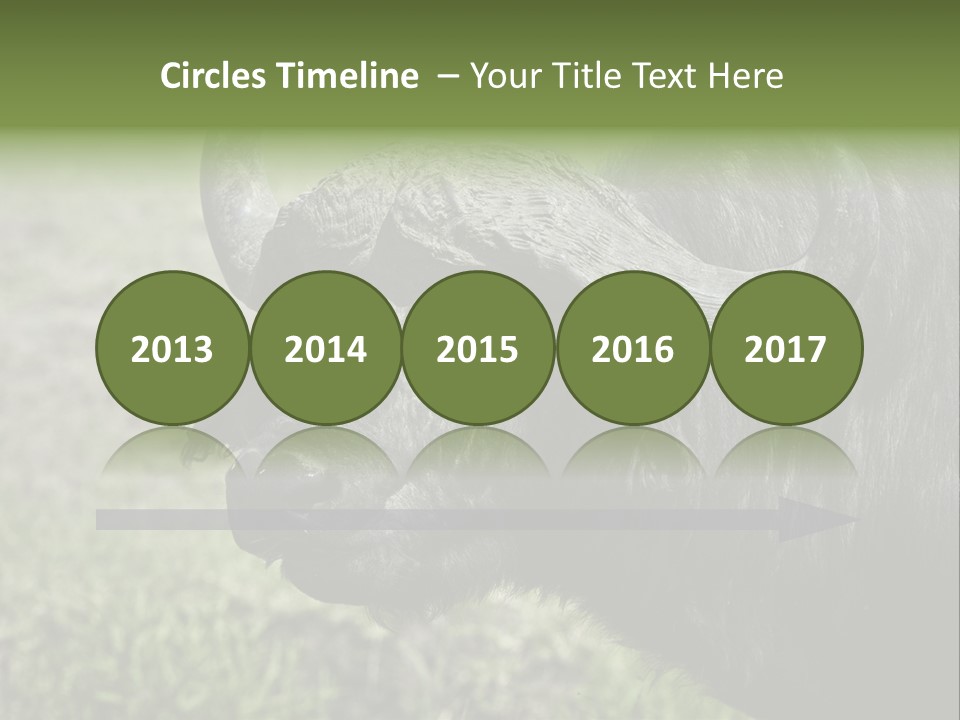 Kenya Selvaggi PowerPoint Template