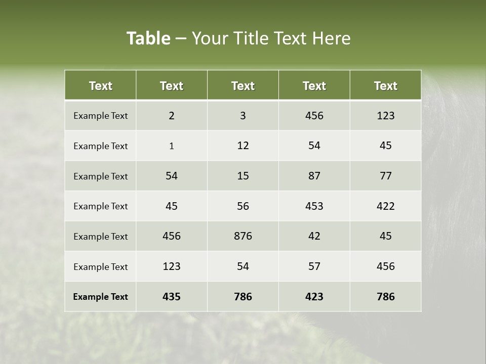 Kenya Selvaggi PowerPoint Template