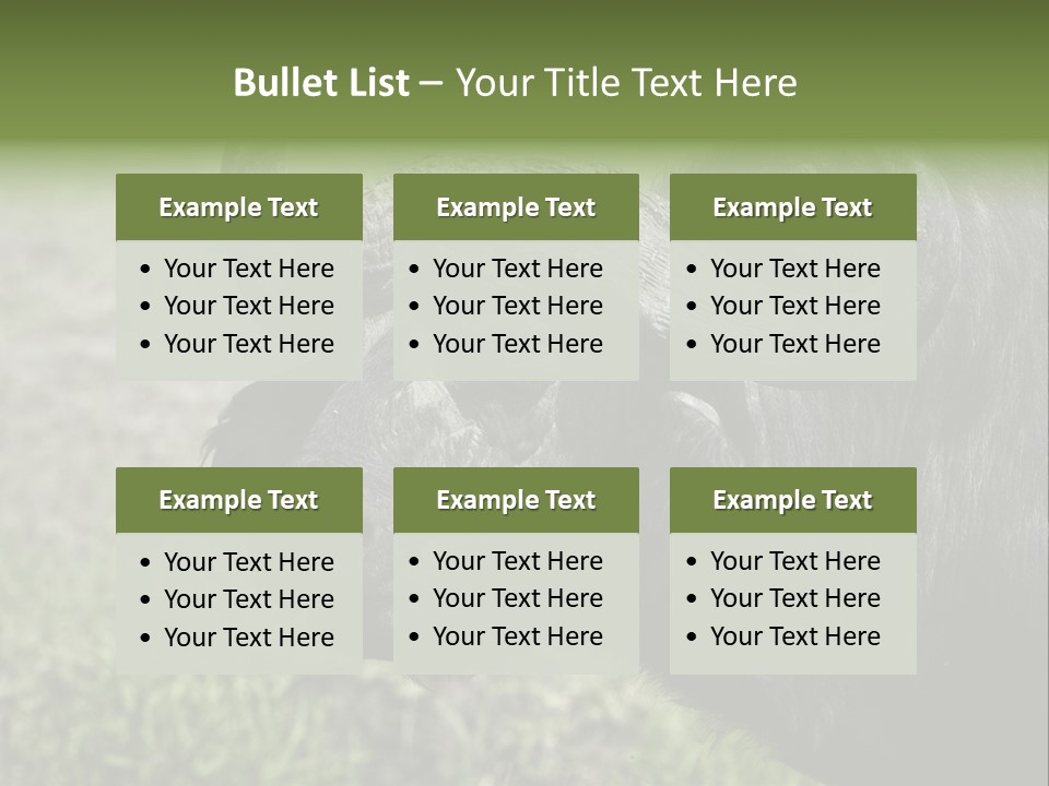 Kenya Selvaggi PowerPoint Template