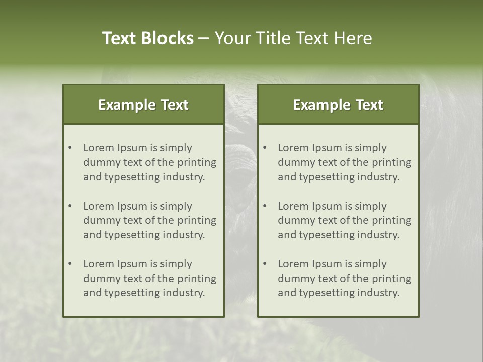 Kenya Selvaggi PowerPoint Template