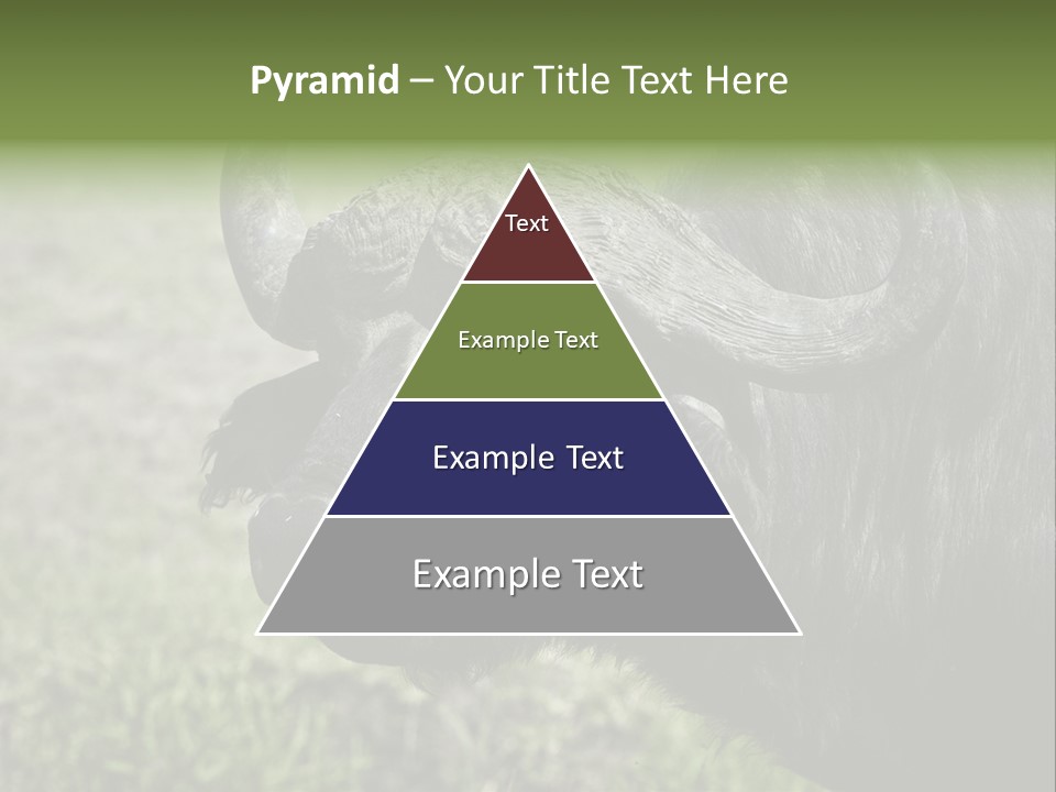 Kenya Selvaggi PowerPoint Template