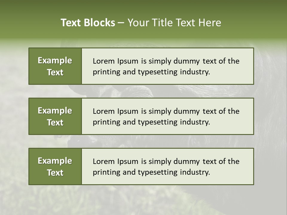 Kenya Selvaggi PowerPoint Template
