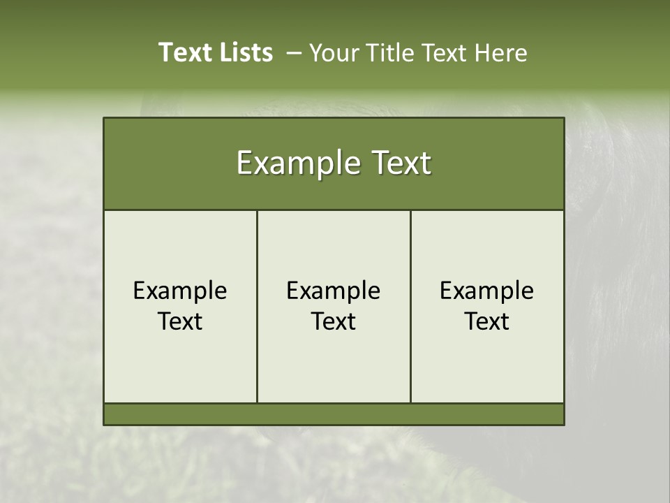Kenya Selvaggi PowerPoint Template