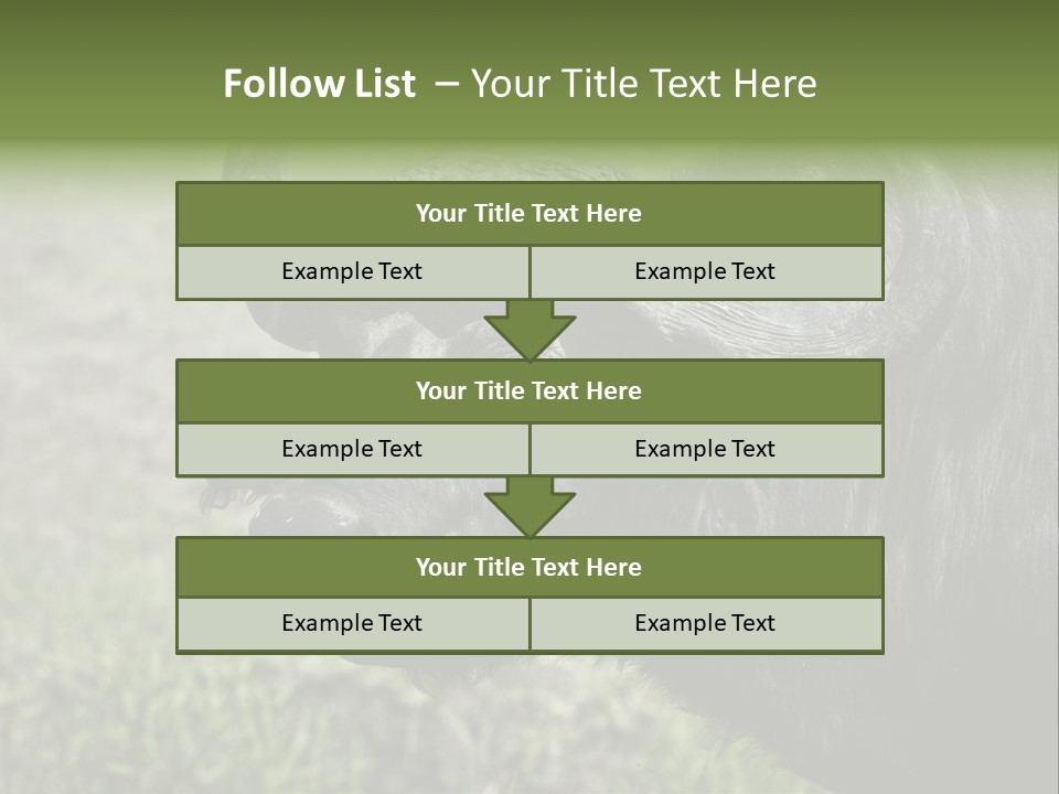 Kenya Selvaggi PowerPoint Template