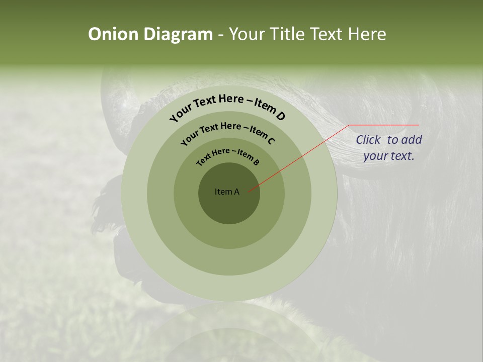 Kenya Selvaggi PowerPoint Template