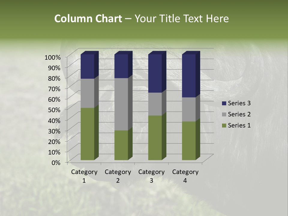 Kenya Selvaggi PowerPoint Template