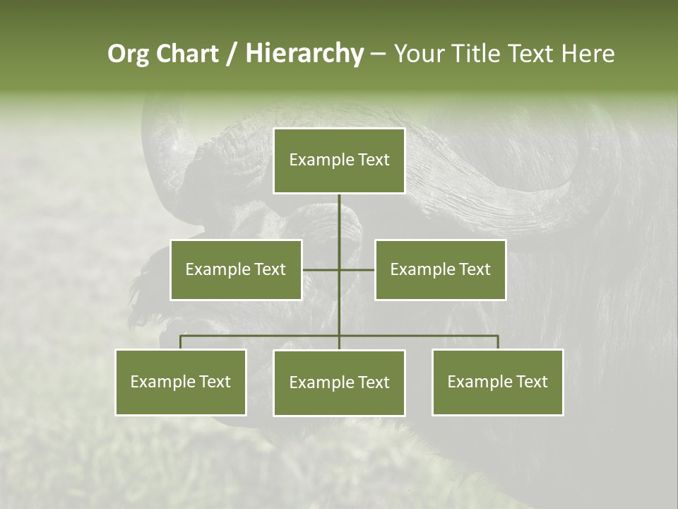 Kenya Selvaggi PowerPoint Template