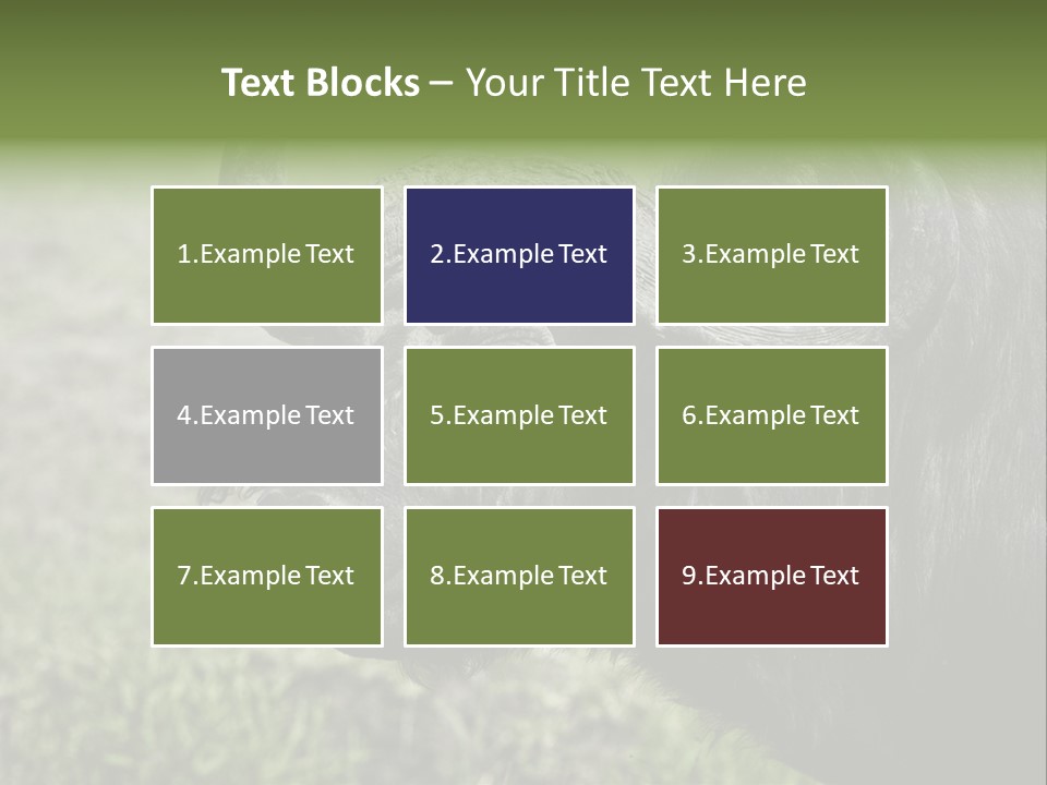 Kenya Selvaggi PowerPoint Template