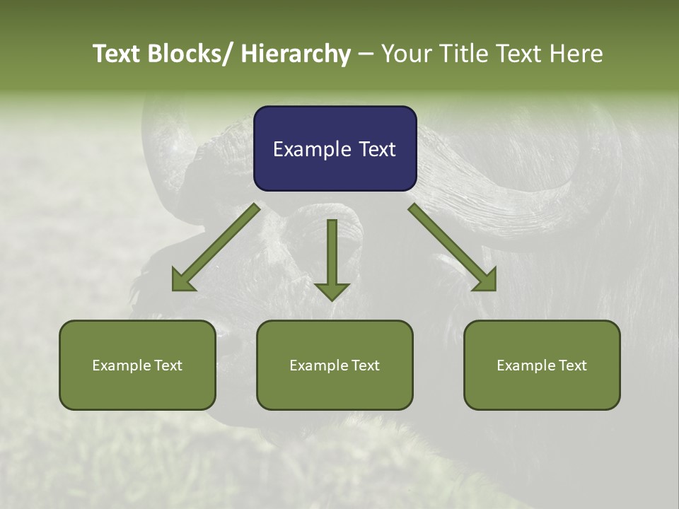 Kenya Selvaggi PowerPoint Template