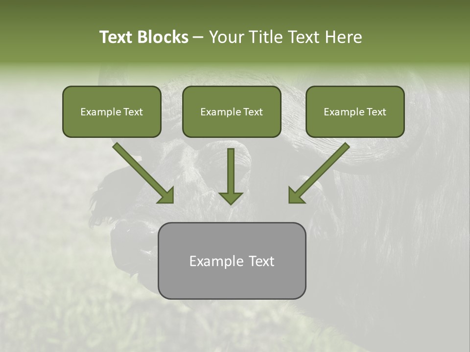 Kenya Selvaggi PowerPoint Template
