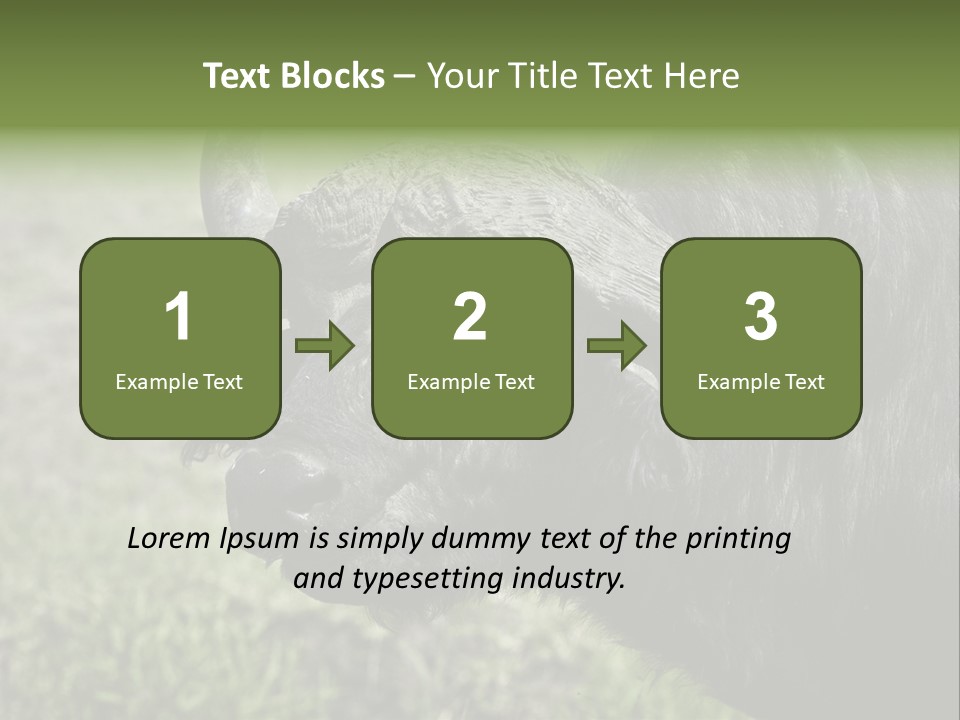 Kenya Selvaggi PowerPoint Template
