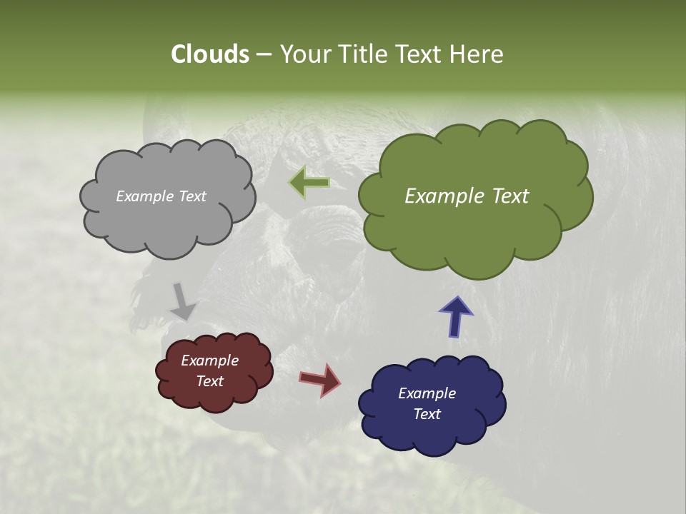 Kenya Selvaggi PowerPoint Template