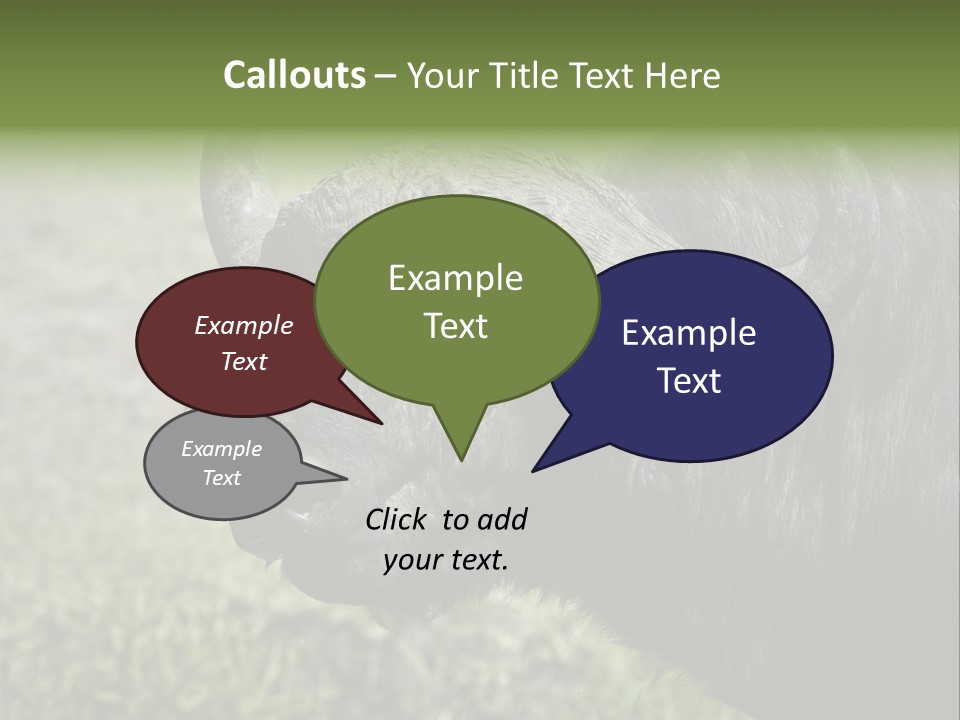 Kenya Selvaggi PowerPoint Template