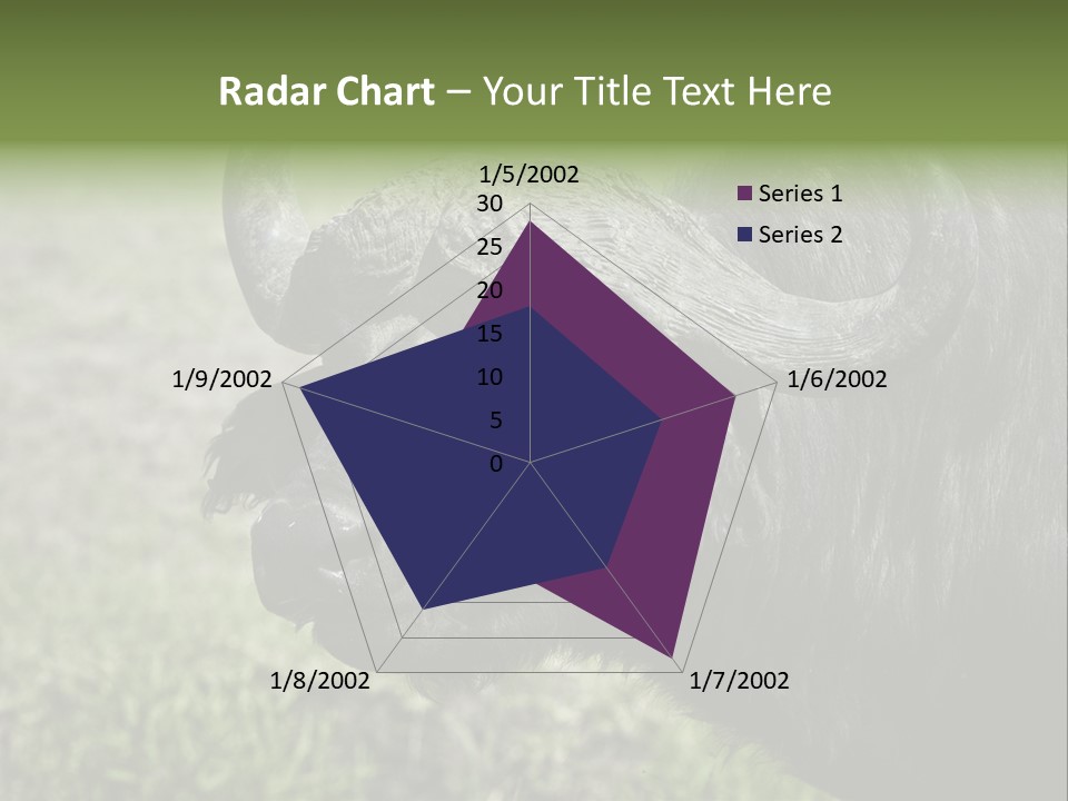 Kenya Selvaggi PowerPoint Template