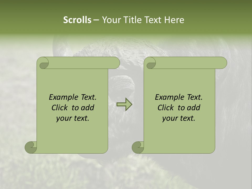 Kenya Selvaggi PowerPoint Template