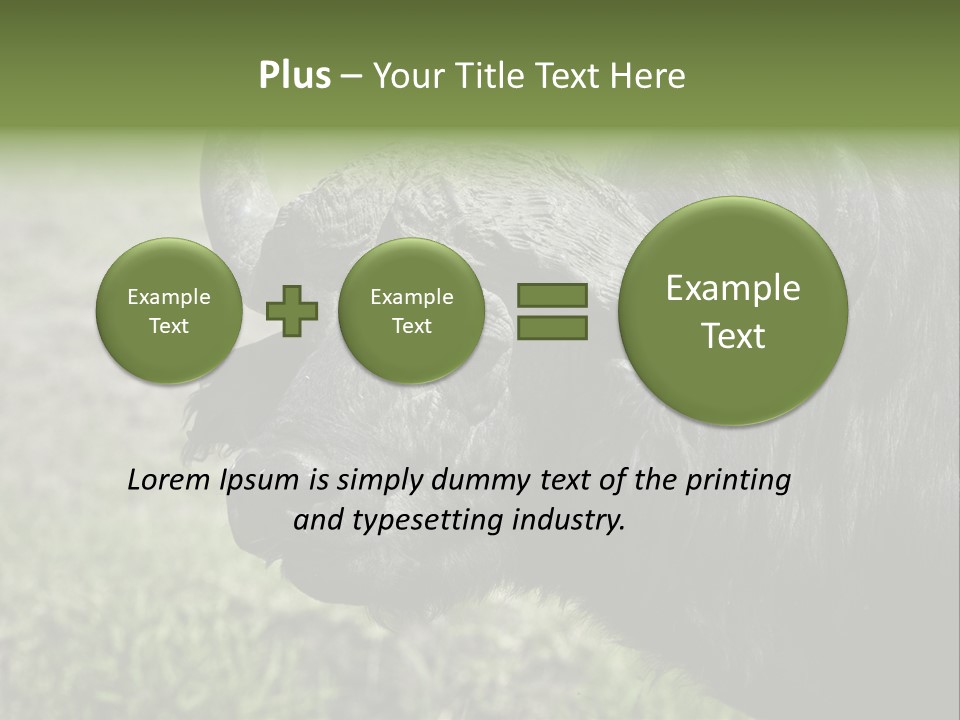 Kenya Selvaggi PowerPoint Template