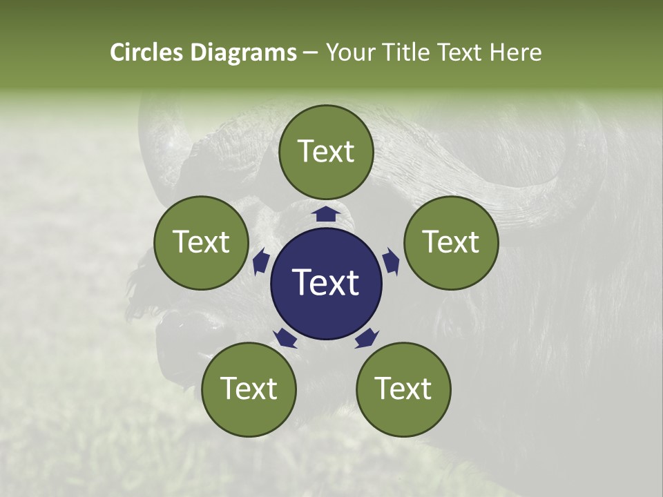 Kenya Selvaggi PowerPoint Template