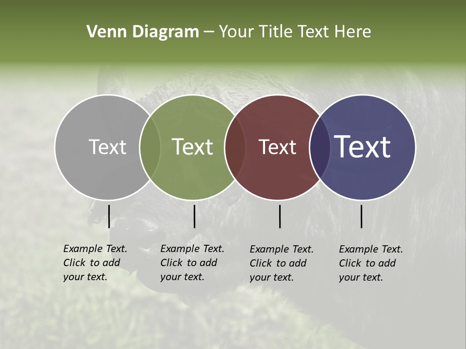 Kenya Selvaggi PowerPoint Template