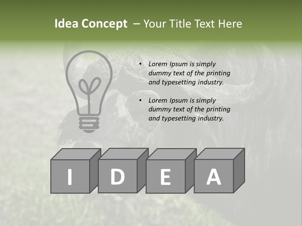 Kenya Selvaggi PowerPoint Template